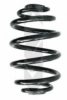 SPIDAN 48073 Coil Spring